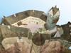 Loket Castle 2