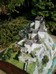 strecno Castle