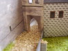 Kost castle